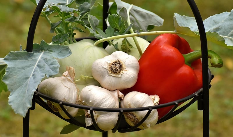Roasted Vegetables